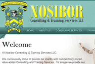 Nosibor Consulting